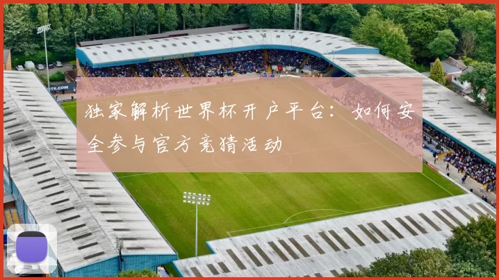 独家解析世界杯开户平台：如何安全参与官方竞猜活动
