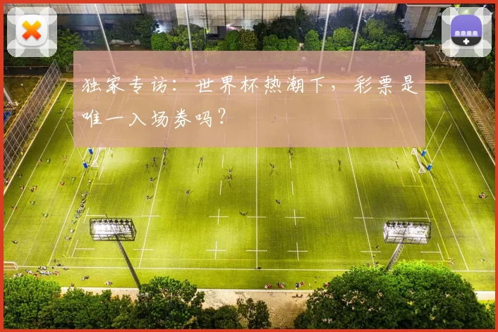 独家专访：世界杯热潮下，彩票是唯一入场券吗？