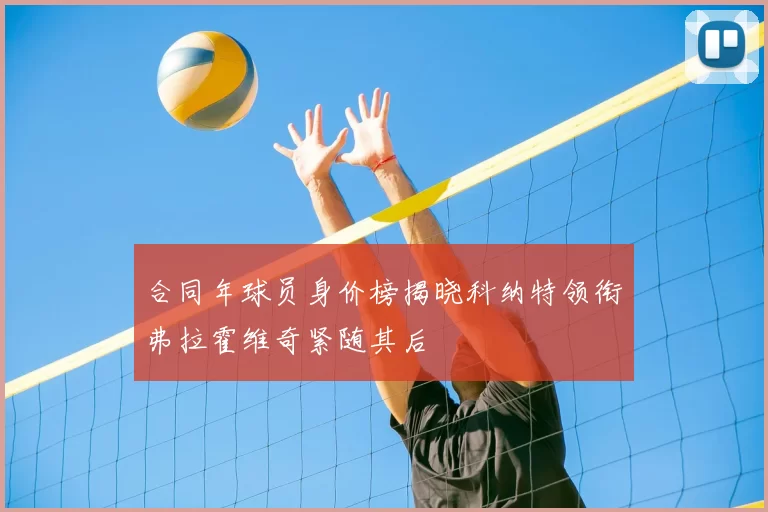 合同年球员身价榜揭晓科纳特领衔弗拉霍维奇紧随其后