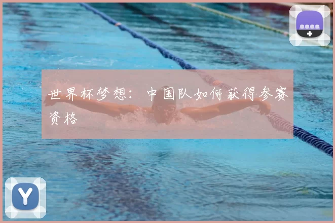 世界杯梦想:中国队如何获得参赛资格
