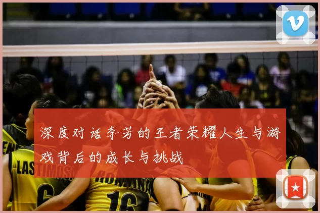 深度对话李芳的王者荣耀人生与游戏背后的成长与挑战
