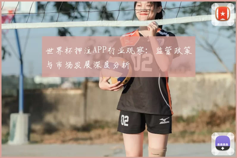 世界杯押注APP行业观察：监管政策与市场发展深度分析
