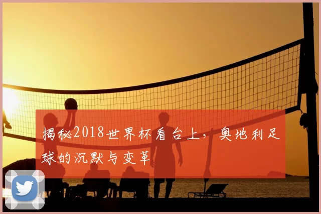 揭秘2018世界杯看台上,奥地利足球的沉默与变革