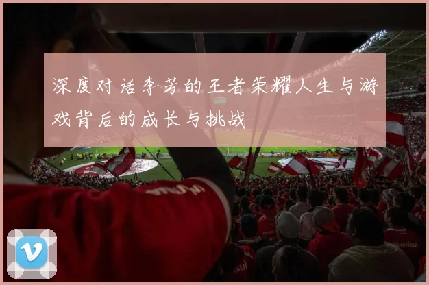 深度对话李芳的王者荣耀人生与游戏背后的成长与挑战