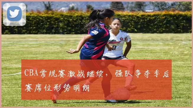 CBA常规赛激战继续，强队争夺季后赛席位形势明朗