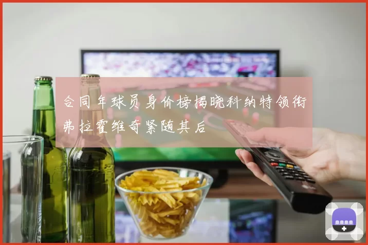 合同年球员身价榜揭晓科纳特领衔弗拉霍维奇紧随其后