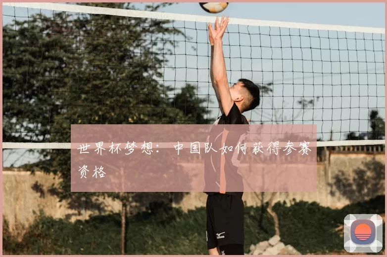 世界杯梦想：中国队如何获得参赛资格