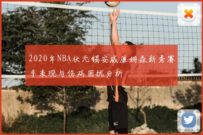 2020年NBA状元锡安威廉姆森新秀赛季表现与伤病困扰分析