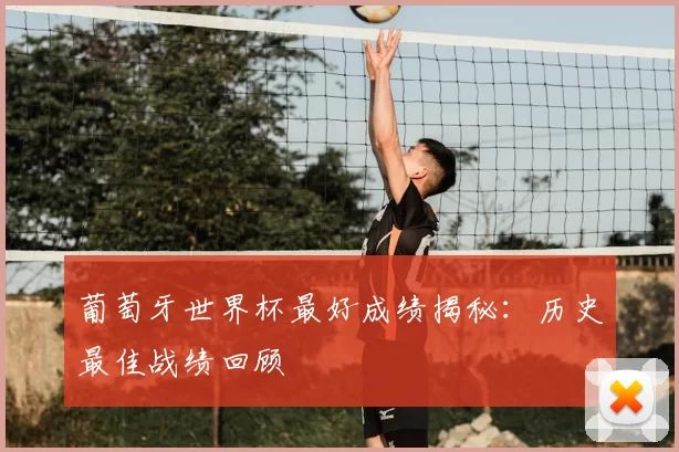 葡萄牙世界杯最好成绩揭秘:历史最佳战绩回顾