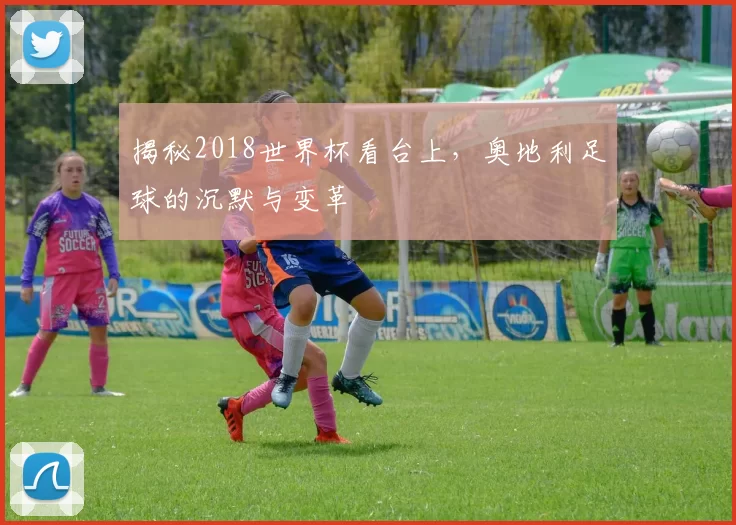 揭秘2018世界杯看台上，奥地利足球的沉默与变革