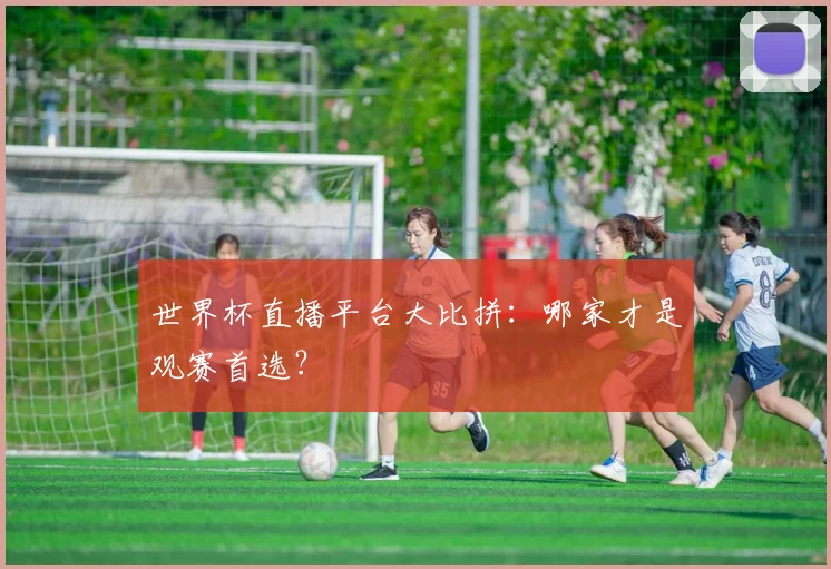 世界杯直播平台大比拼：哪家才是观赛首选？