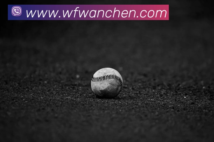 华体会app发展历程